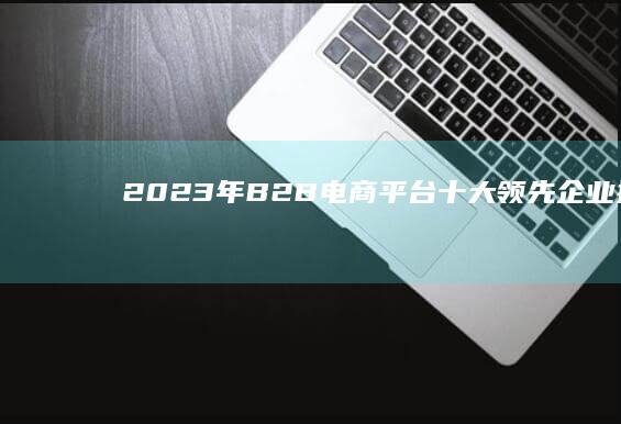 2023年B2B电商平台十大领先企业排名